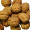 گردو درجه یک کردستان ( بسته 5 کیلو گرمی )