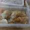 عسل کوهستانی بکر مومدار شان(یک کیلوگرم)
