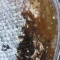 عسل موم دار خوب یک کیلو گرم