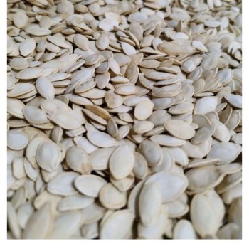 تخمه کدو سفید گوشتی ایرانی (یک کیلو) اصل