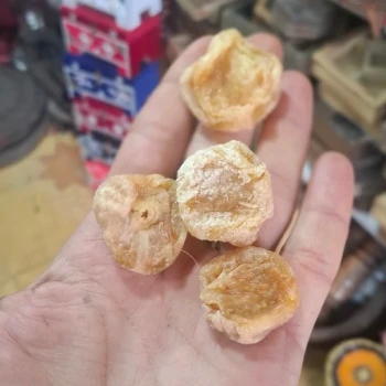 انجیر نرم و شیرین و تازه محلی
