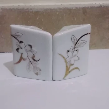 نمکدان چینی پردیس مجموعه 2 عددی طرح گل طلایی 