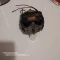 موتور خردکن و مخلوط کن ایتالیایی 