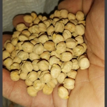 نخود ،دستچین کرمانشاه درجه یک و زودپز و عالی