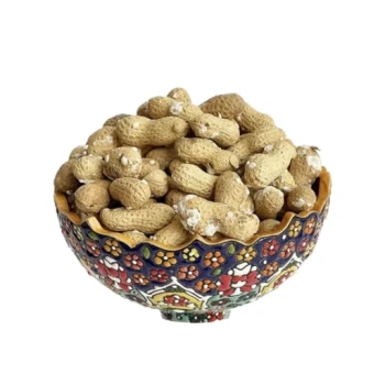 بادام زمینی غلاف دار نمکی 250 گرم