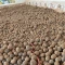 گردو  اصل تویسرکان پوست کاغذی برداشت 1404