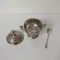 شکر ریز طرحدار نقره‌ای بسیار زیبا همراه قاشق نانو شده 