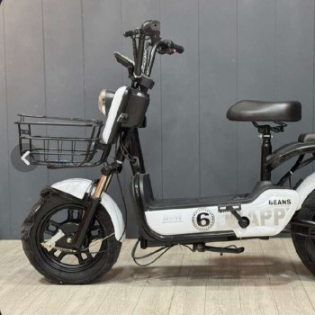 🛵موتور برقی مدل هپی بین موتور 600 وات