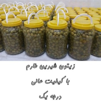 زیتون با هسته طارم اعلا