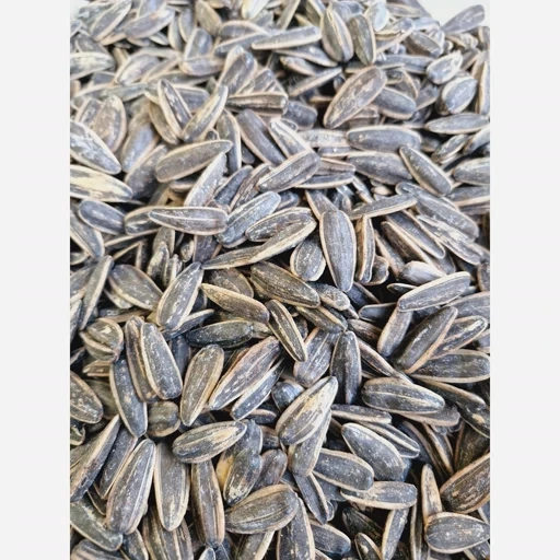 تخمه آفتابگردان خوش طعم و تازه 500 گرمی
