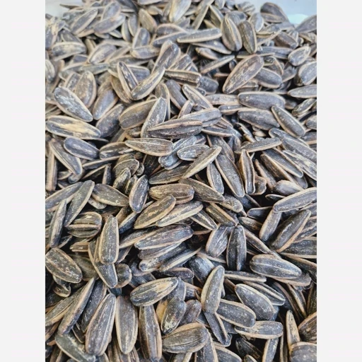 تخمه آفتابگردان خوش طعم و تازه 500 گرمی