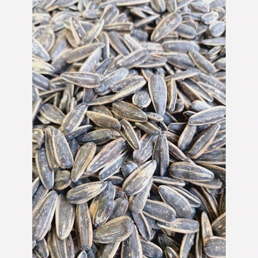 تخمه آفتابگردان خوش طعم و تازه 500 گرمی