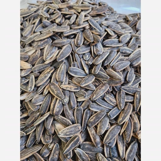 تخمه آفتابگردان خوش طعم و تازه 500 گرمی