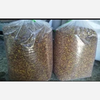 مغز پسته ون (عمده)