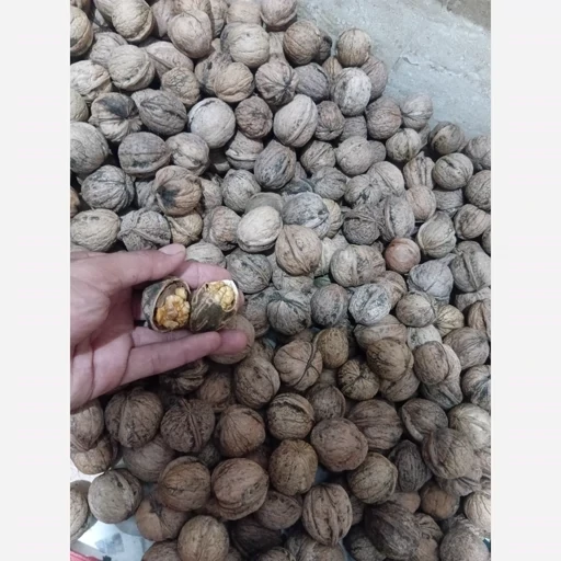 گردو درجه یک کردستان ( بسته 5 کیلو گرمی )