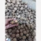 گردو درجه یک کردستان ( بسته 5 کیلو گرمی )