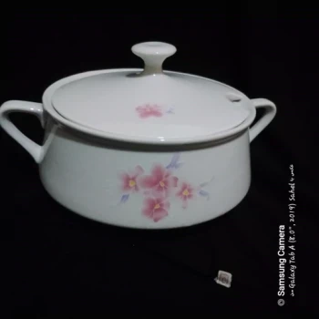سوپ خوری زیبا چینی البرز 