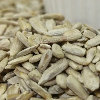 مغز تخمه آفتابگردان درجه یک 100 گرمی ترنج
