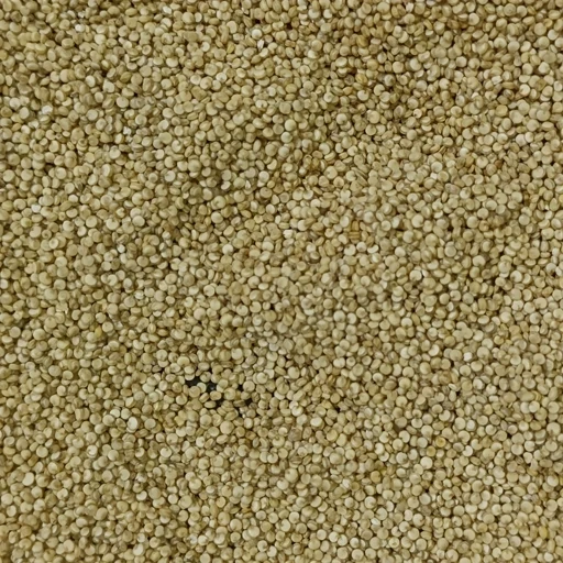 کینوا سفید درجه یک 500 گرمی ترنج
