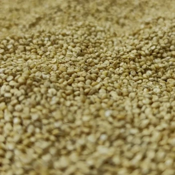 کینوا سفید درجه یک 200 گرمی ترنج