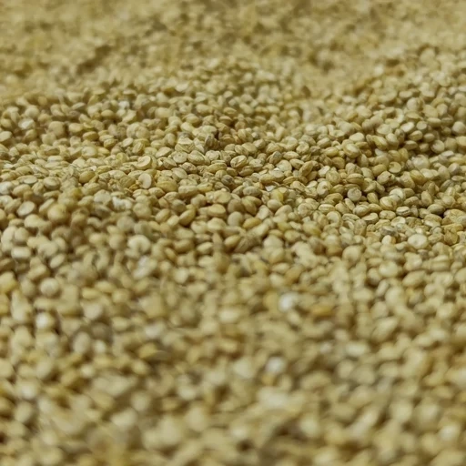 کینوا سفید درجه یک 200 گرمی ترنج