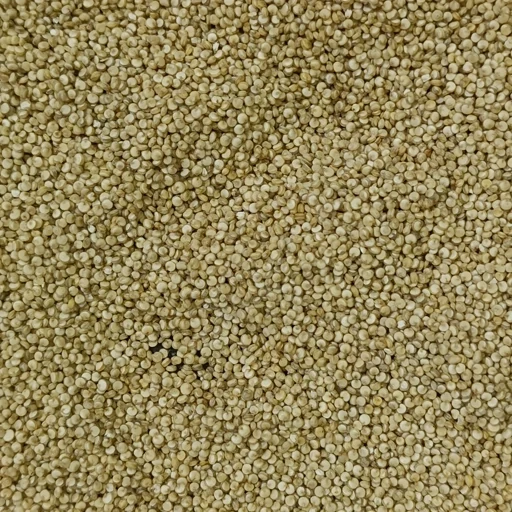 کینوا سفید درجه یک 200 گرمی ترنج