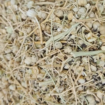 اسپند نخودی درجه یک 100 گرمی ترنج